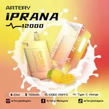Review of Artery iPRANA 12000. First look